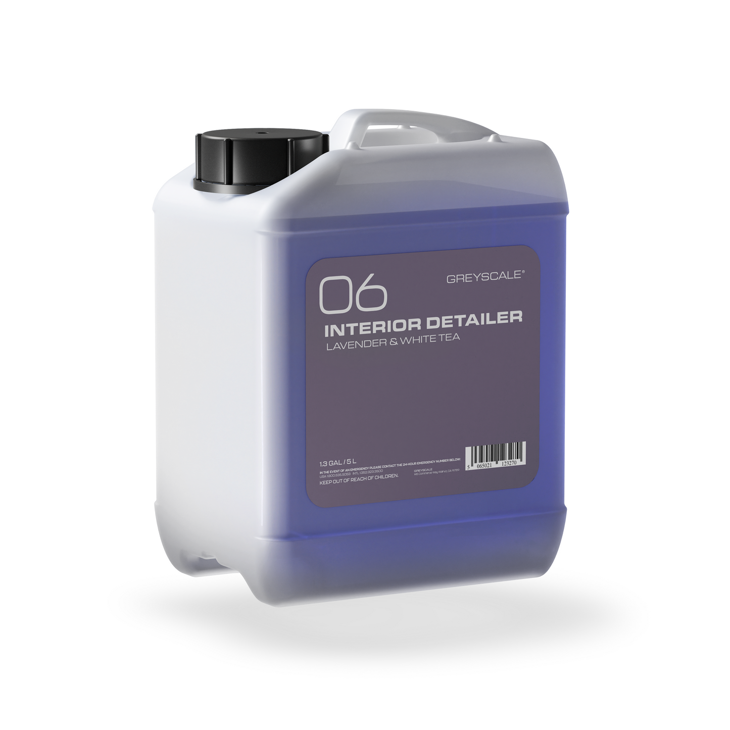 06 INTERIOR DETAILER